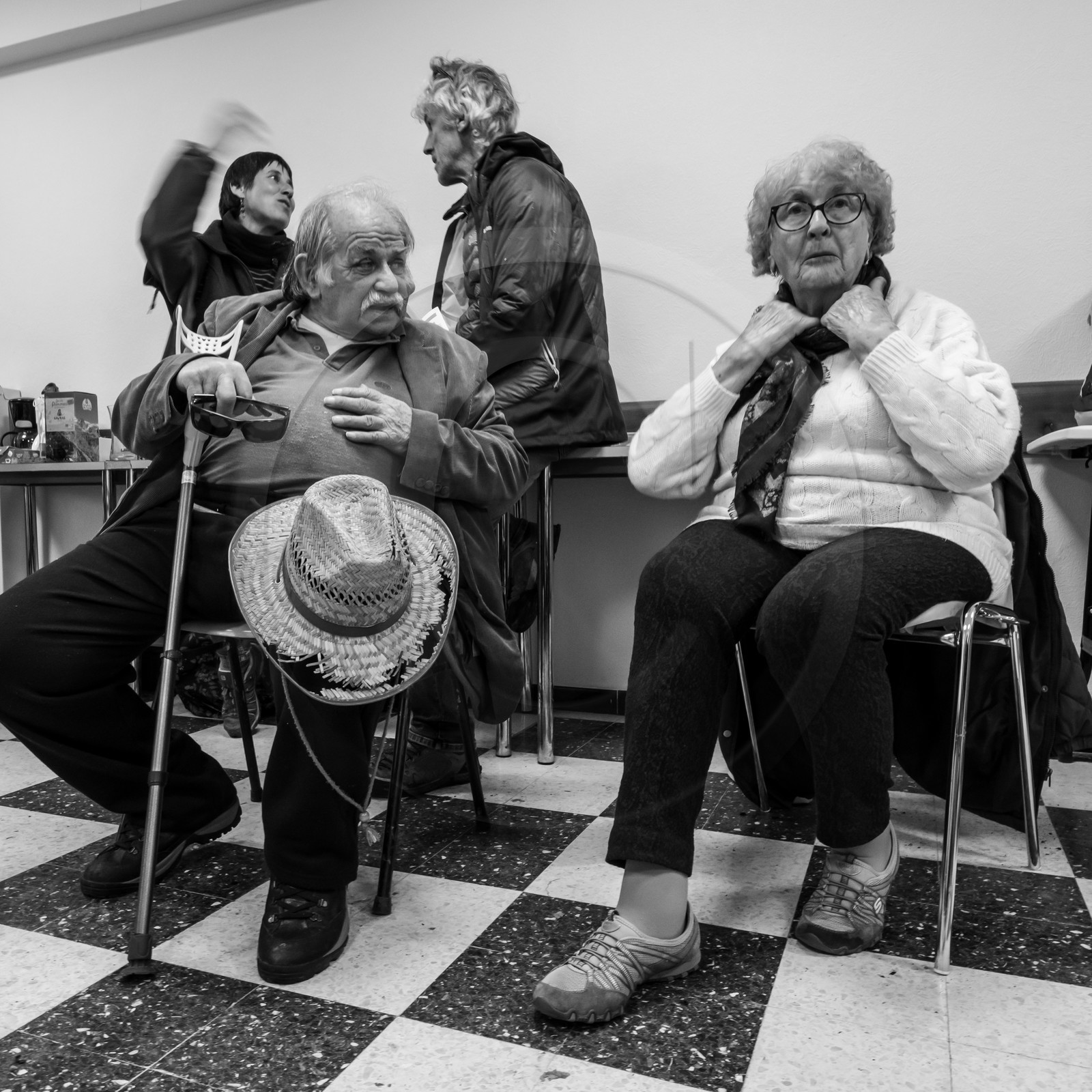 03 avril 2019 : Initiation à la greffe d'arbres fruitiers