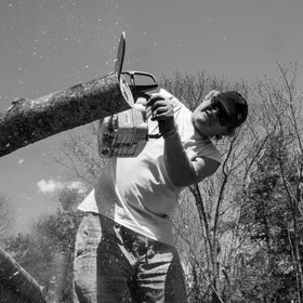 31 mai 2017 - Jardinage