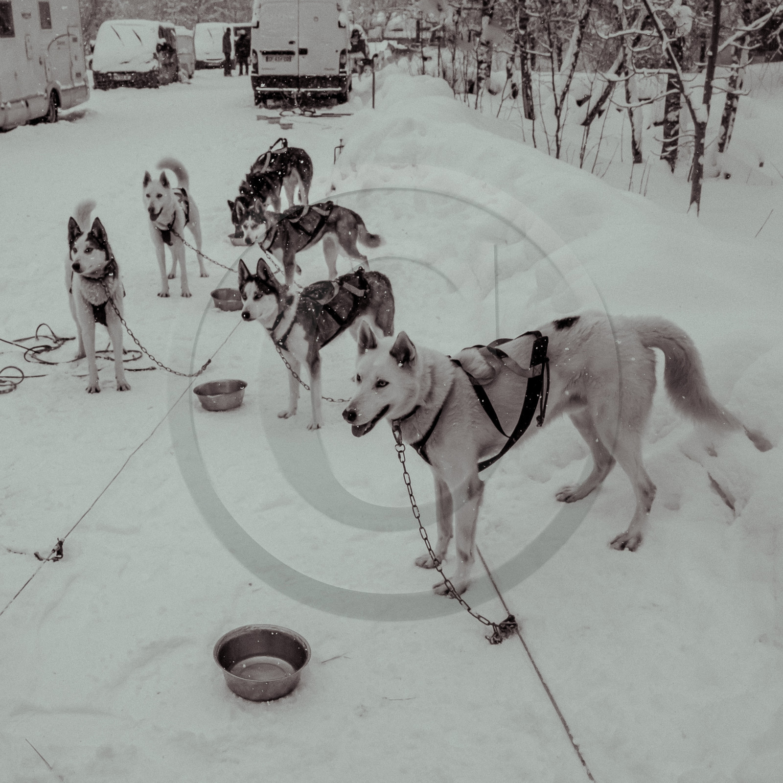 La Valgaude Traineau 2015