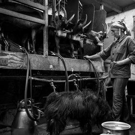 La ferme de Coste Joffre