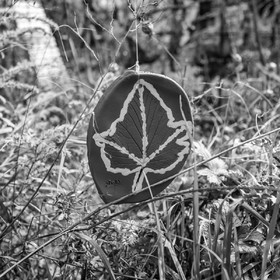 12 octobre 2022 : Land Art à l'Ouort