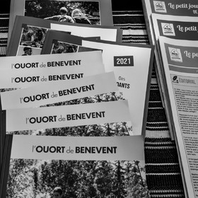 22 mai 2022 : Vide-Jardin