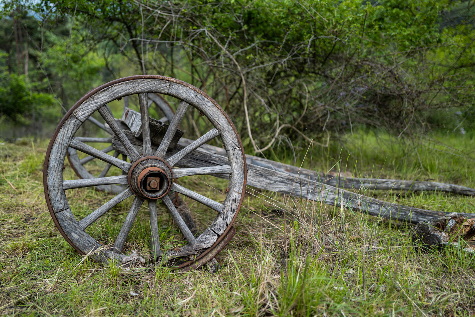 Le Pas du Loup - Le Glaizil -14 mai 2023