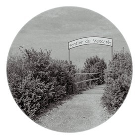 Les instants Camargue