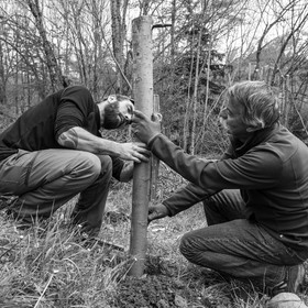 03 mai 2017 - Bac, semis et plantations