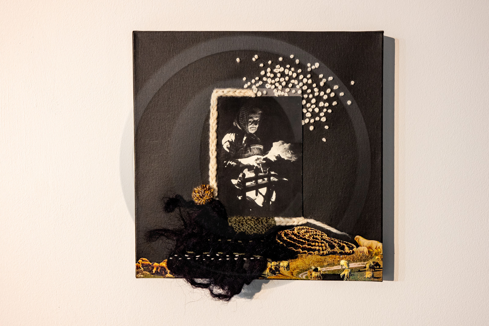 Expositions à la maison du Berger - Champoléon