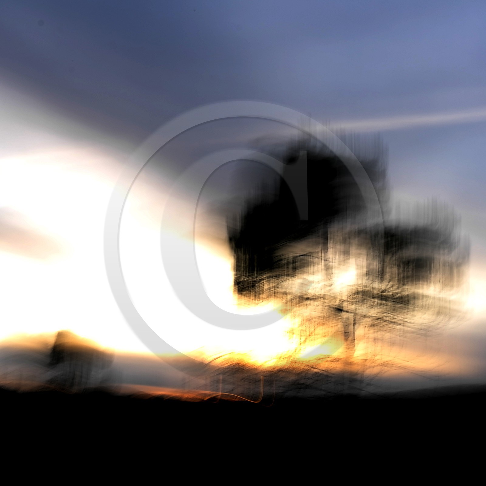 Le Pays des Arbres Flous