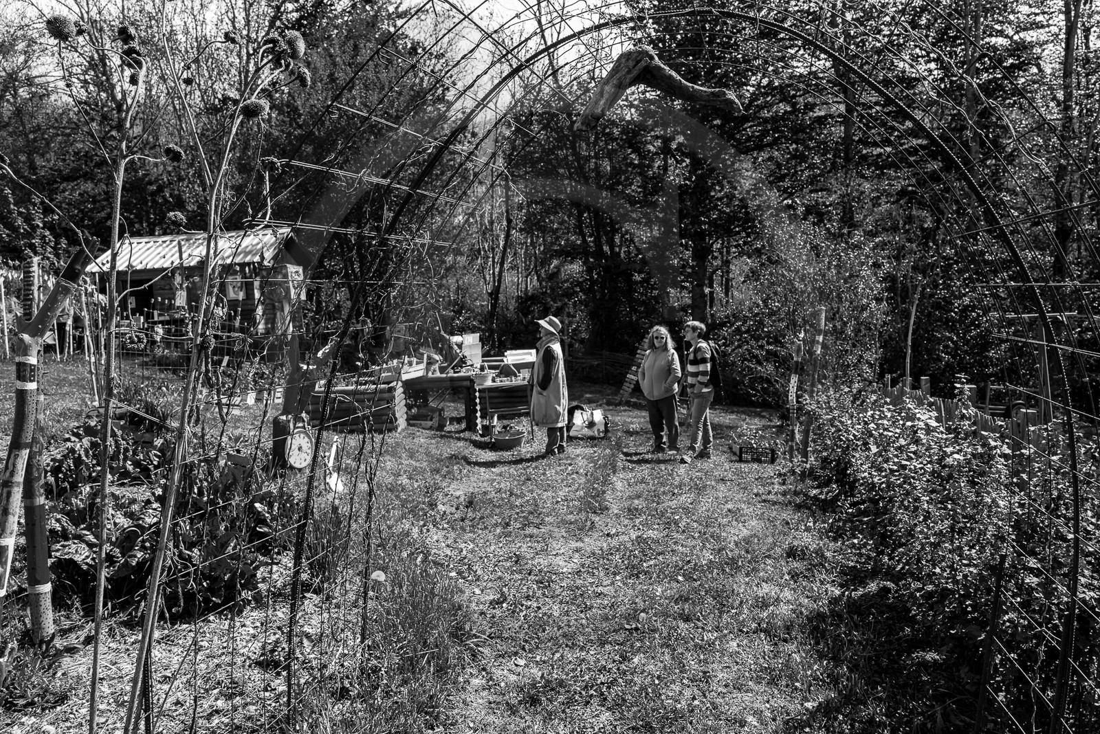 14 mai 2023 : Vide-Jardin