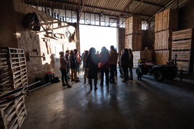 Croqueurs de pommes des Alpes Latines