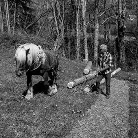 L'Ouort de Bénévent - 17 avril 2017