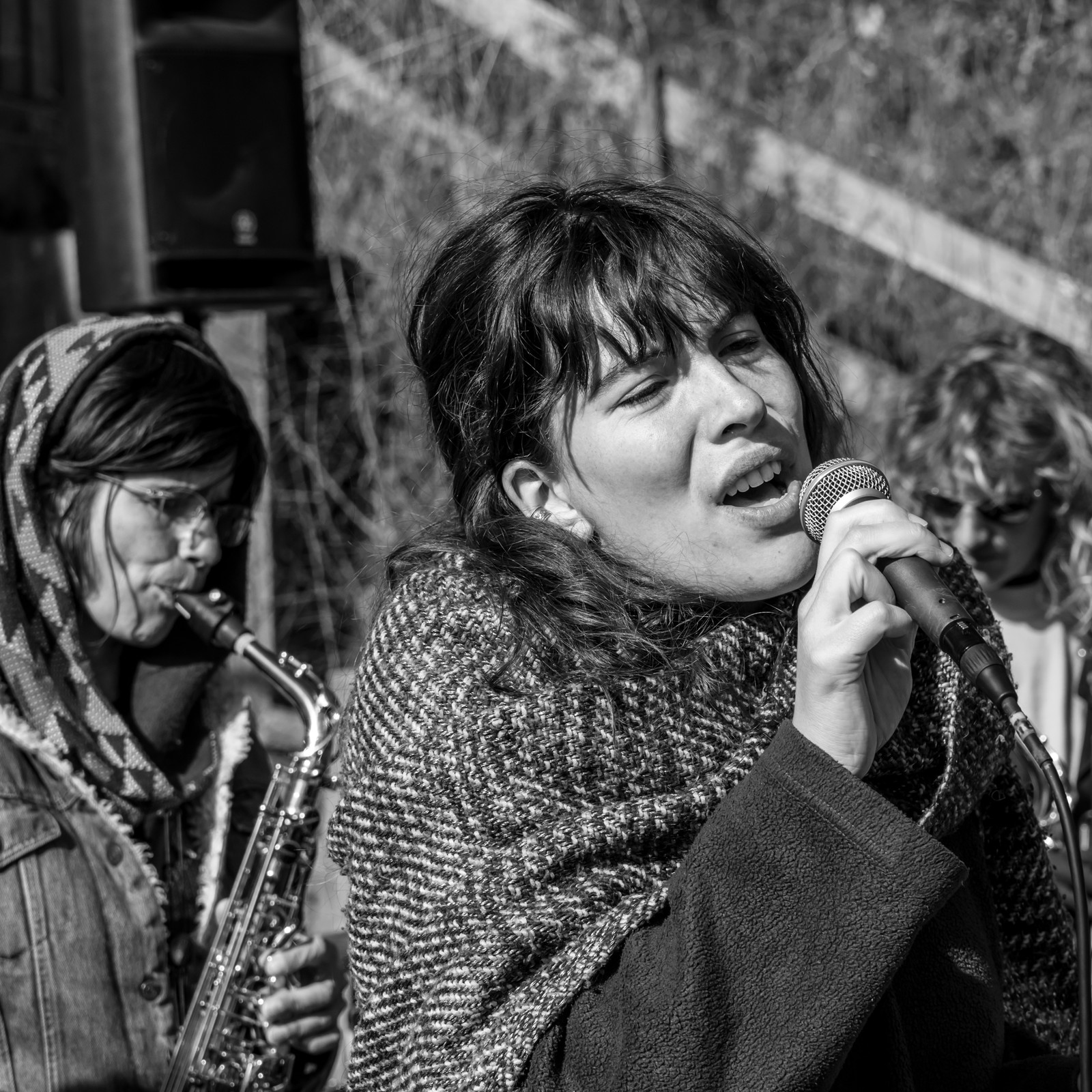 26 octobre 2025 : Les oiseaux de trottoir