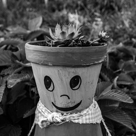 18 mai 2022 : Atelier créatif avec Claudine Meyer