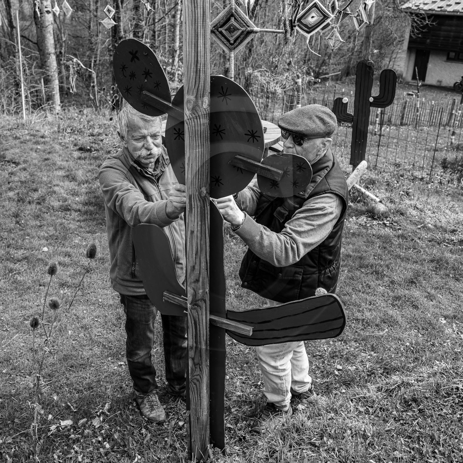 03 avril 2024 : Laine et aménagements au jardin