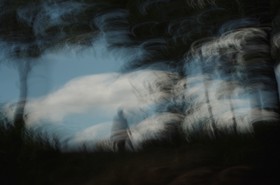 Le Pays des Arbres Flous