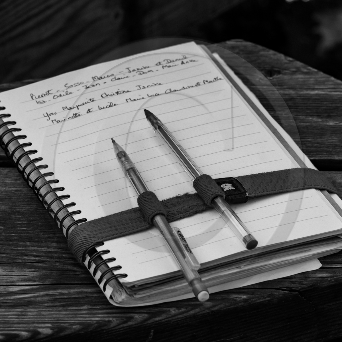 Atelier laine et promenade au jardin