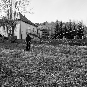 Elagage - 08 03 2017