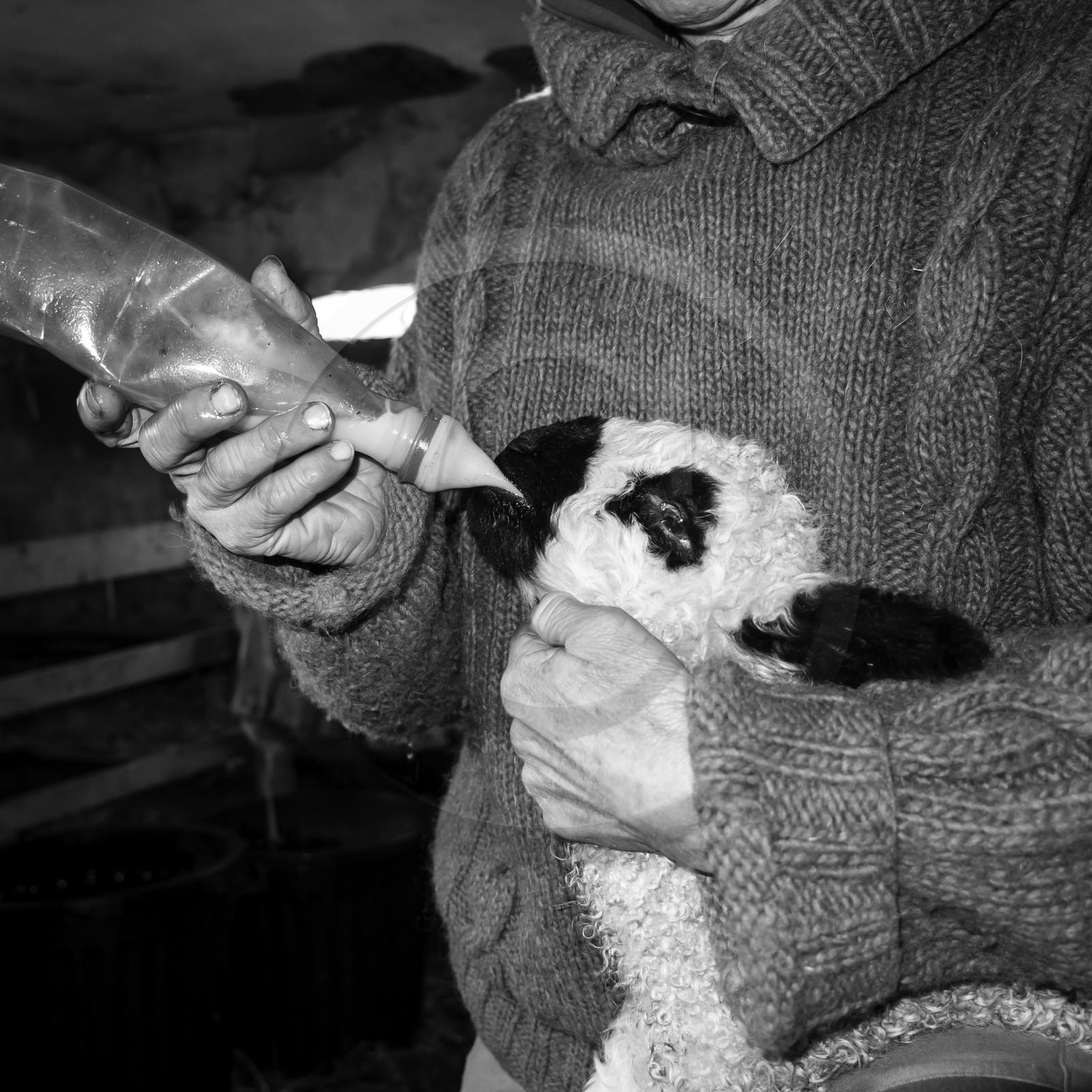 La bergerie de Michèle Soubeyrand