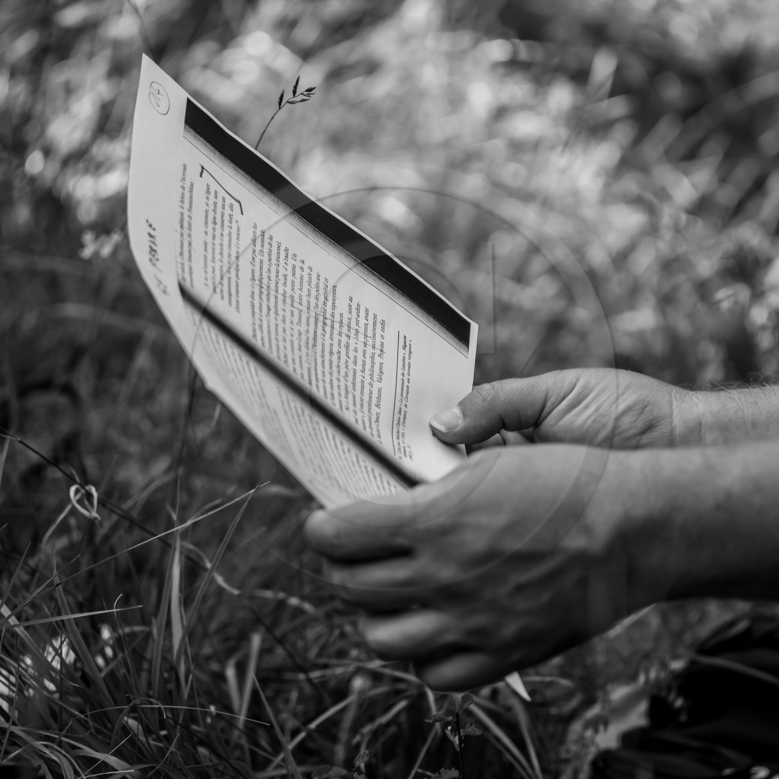 Arpenter le paysage avec Martin de la Soudière