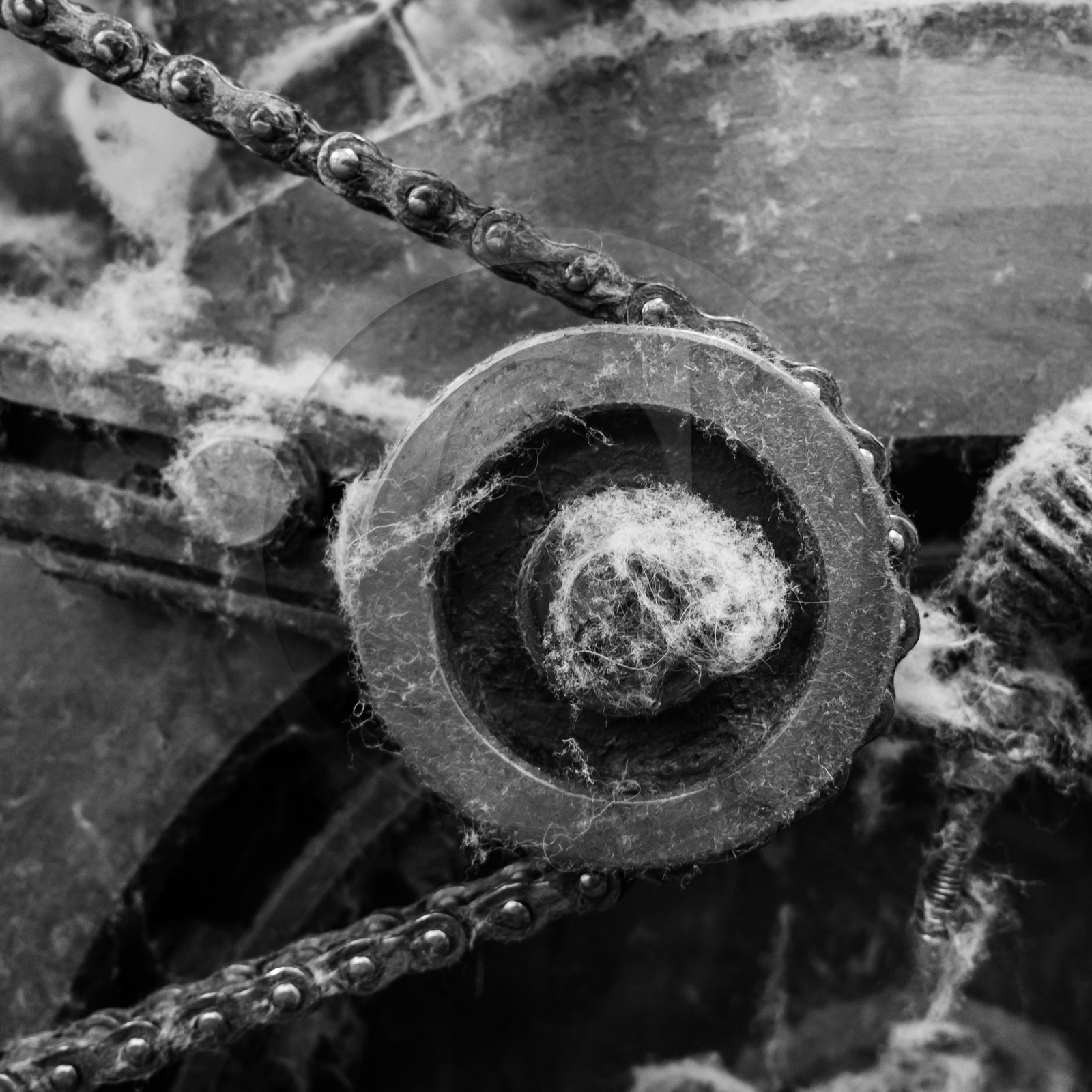 La Filature du Valgaudemar