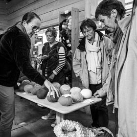 15 mai 2023 : Journée des aidants et des aidés