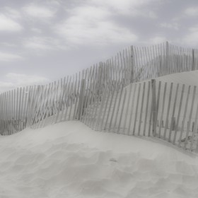 Camargue couleur pastel