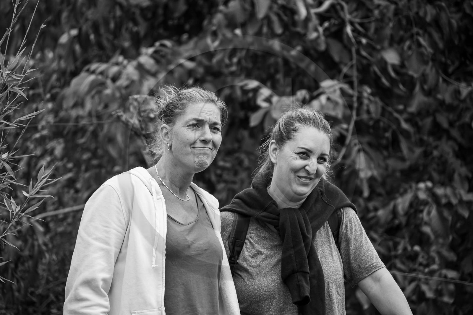 20 septembre 2023 : Promenade en joelette