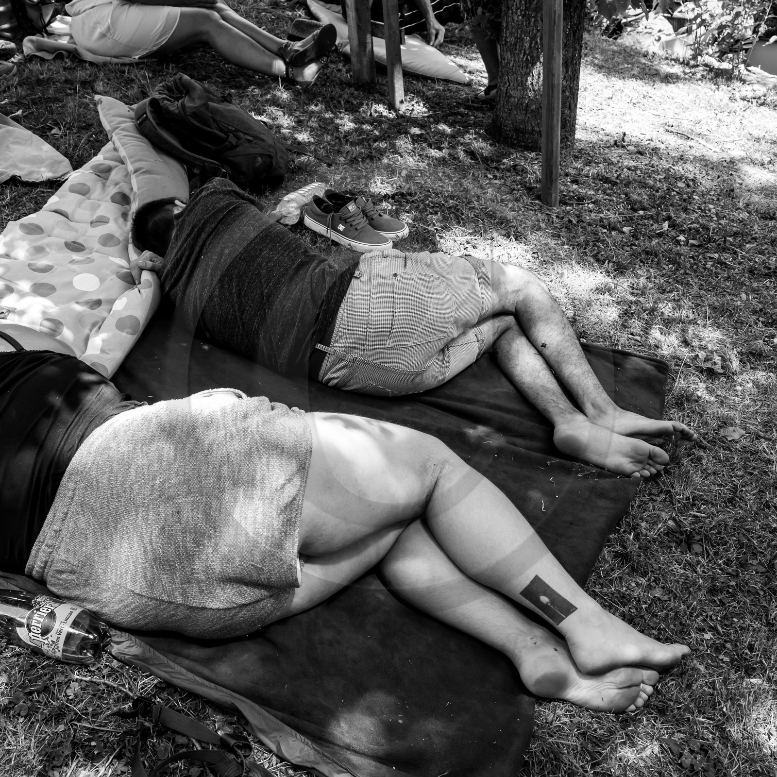 07 août 2017 - Sieste Musicale