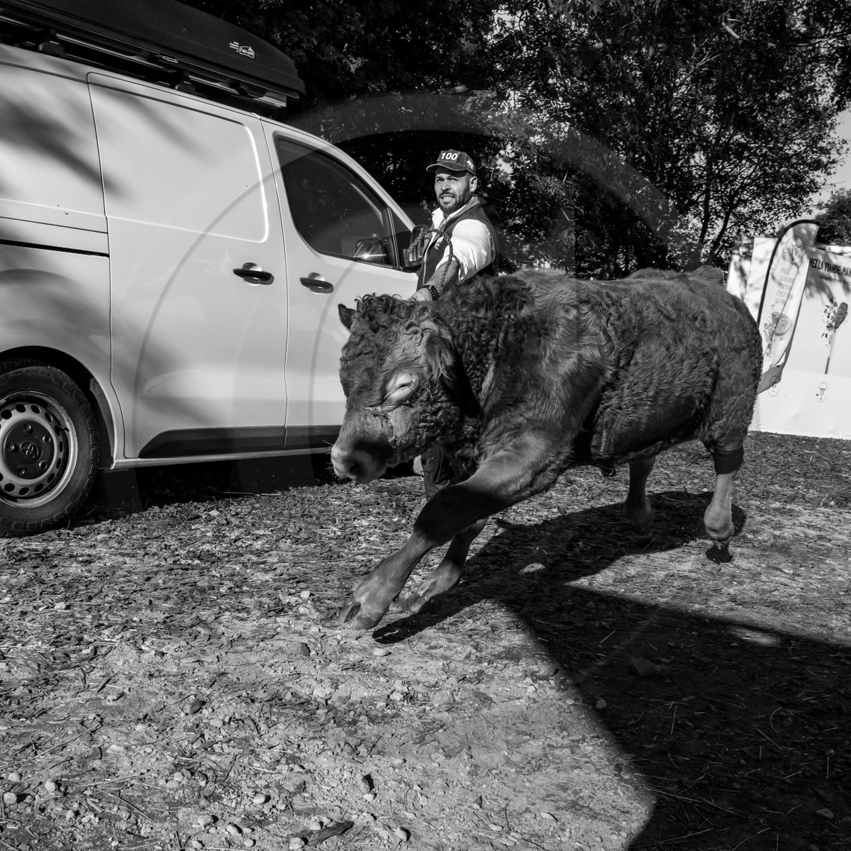 Rencontres paysannes à Saint-Bonnet en Champsaur