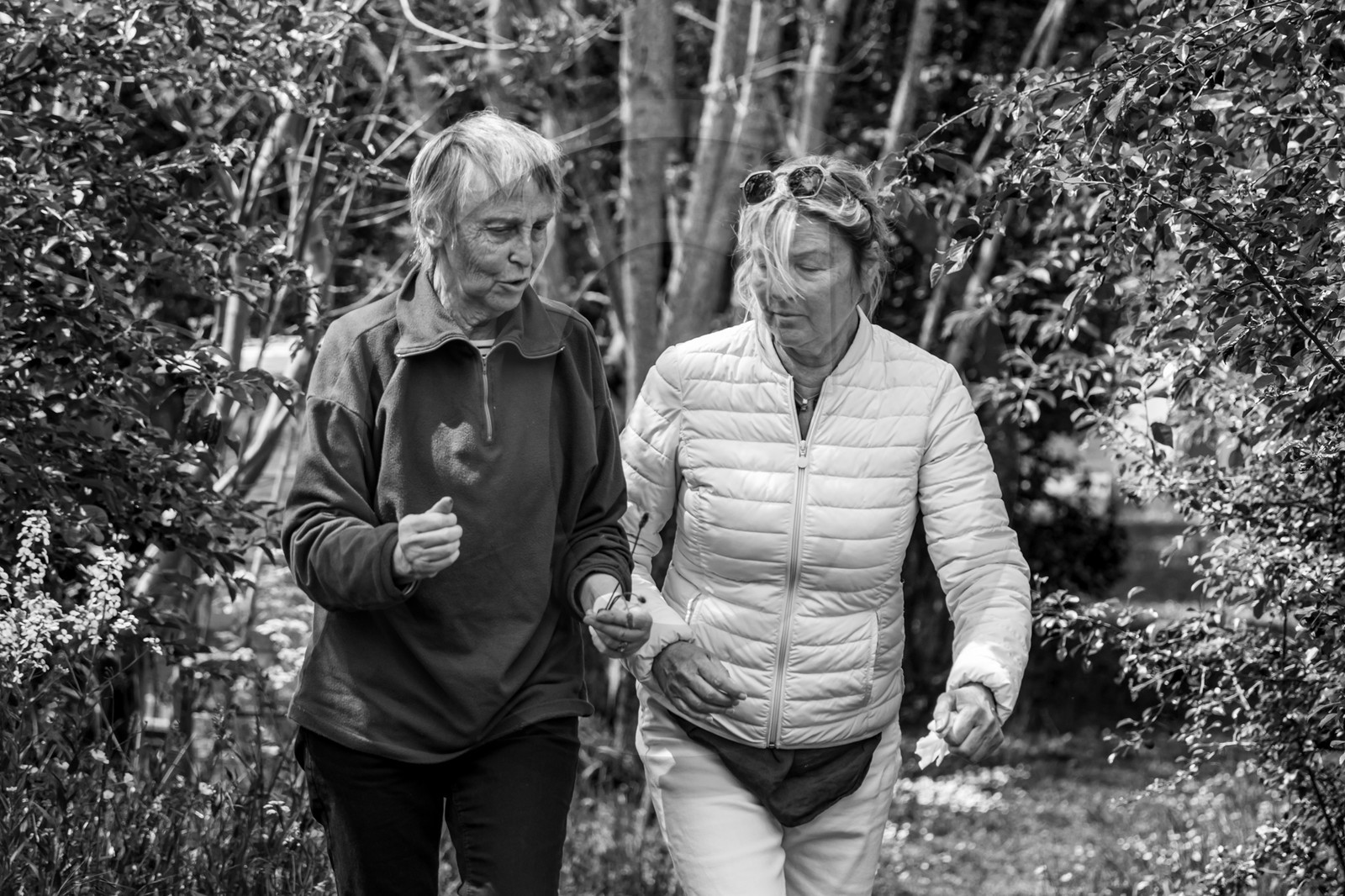 24 mai 2024 : Journée des aidants à l'Ouort