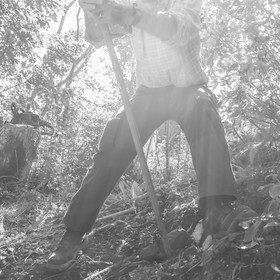 Activités au jardin