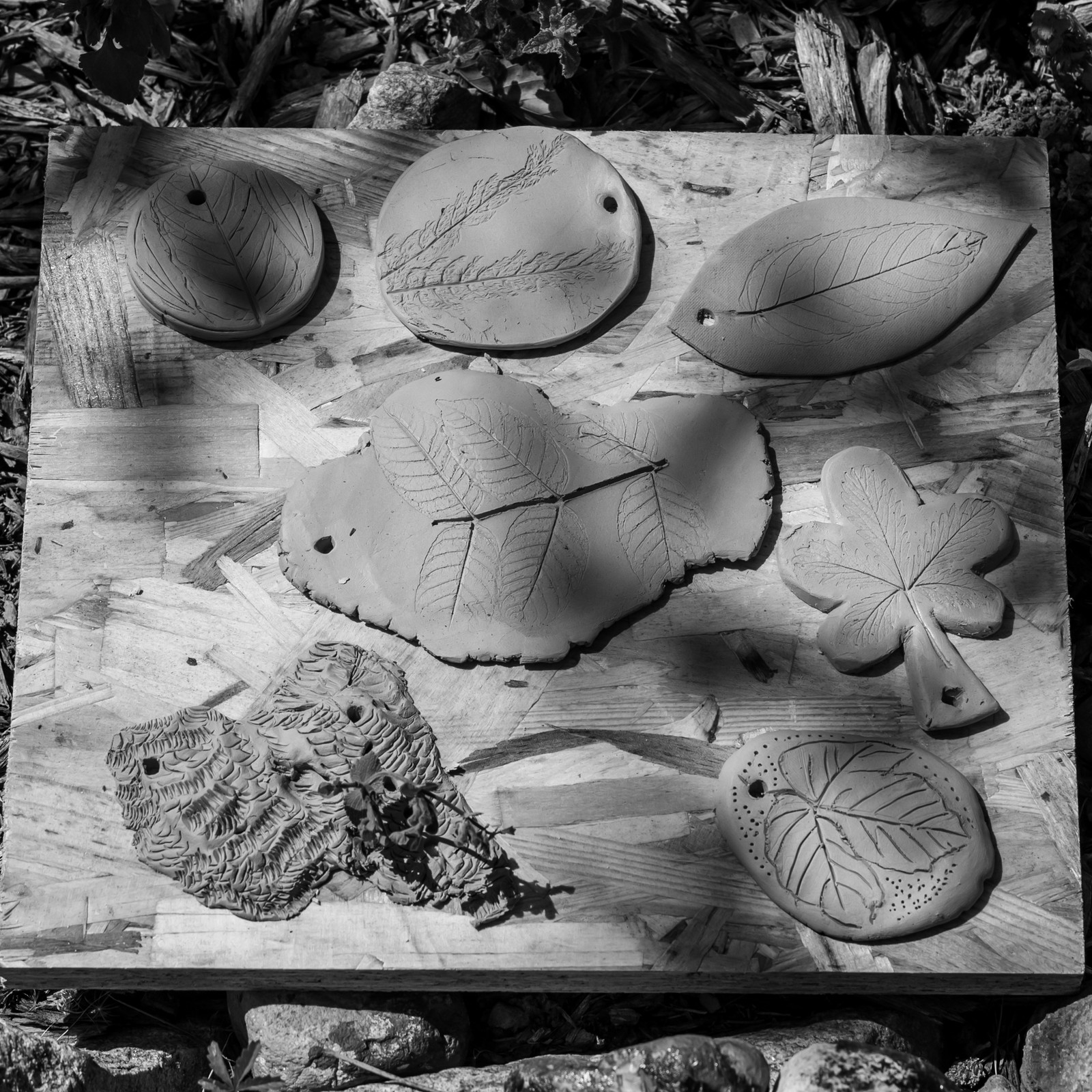 16 mai 2025 : Journée des aidants