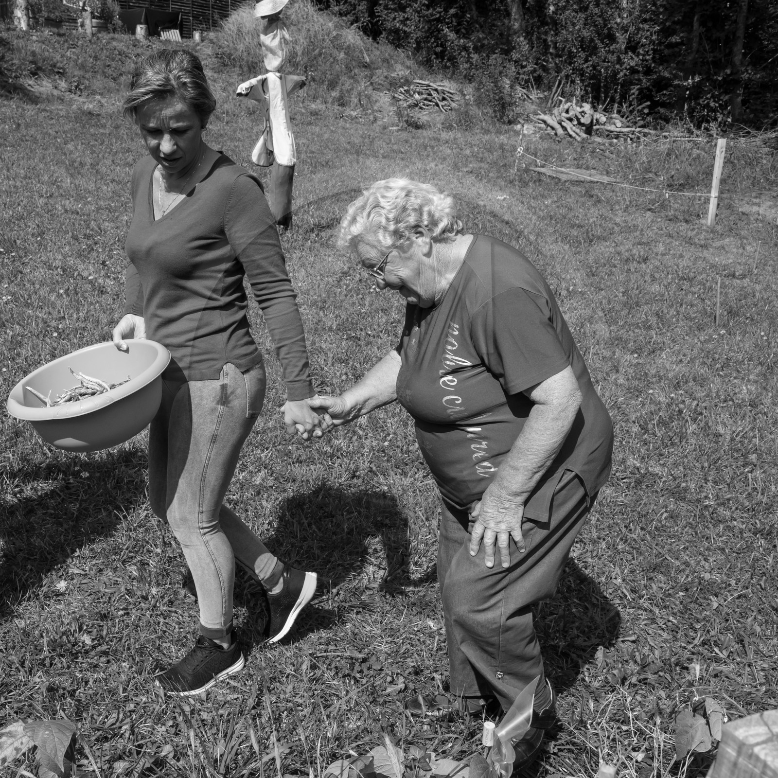 13 septembre 2017 - Chemins - Graines