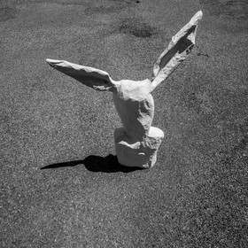 Animations au jardin