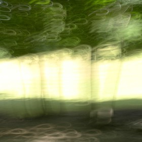 Le Pays des Arbres Flous