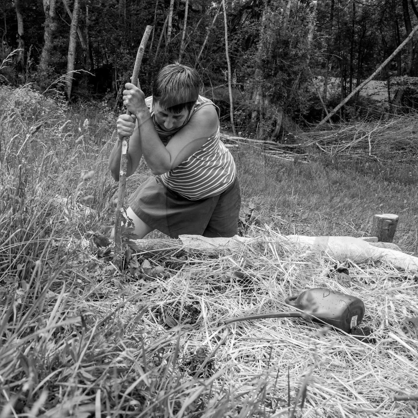 31 mai 2017 - Jardinage