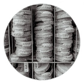 Les instants Camargue