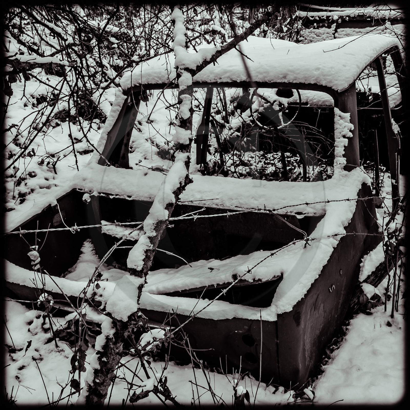 Un cimetière de voitures