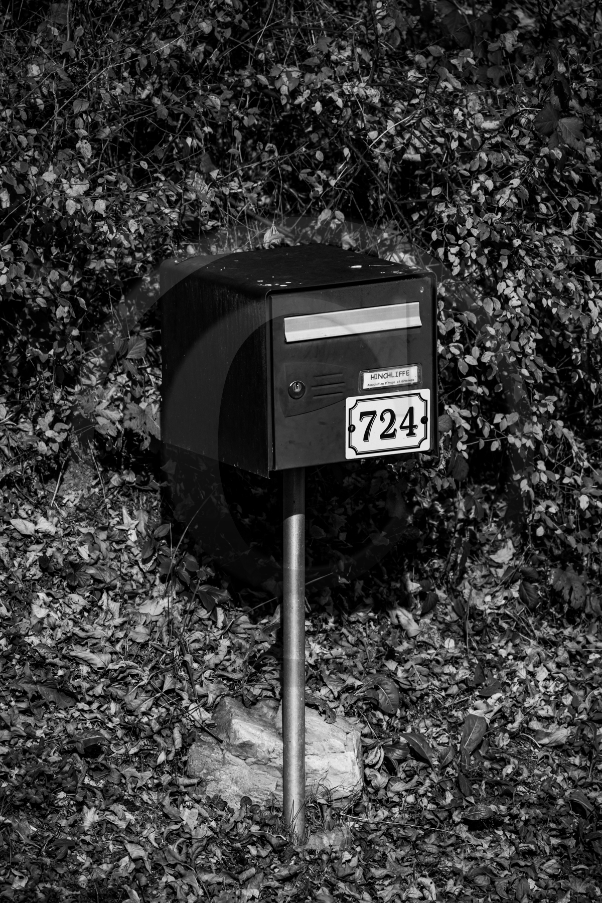 Des chiffres et des lettres