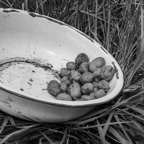 20 avril 2022 : des contes, des pommes de terre et un petit café