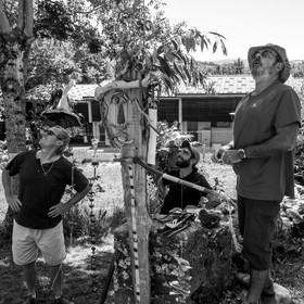 05 juillet 2017 - Installation épouvantails