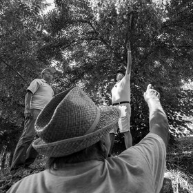 29 juin 2022 : Découverte des plantes sauvages