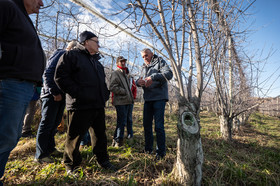 Croqueurs de pommes des Alpes Latines