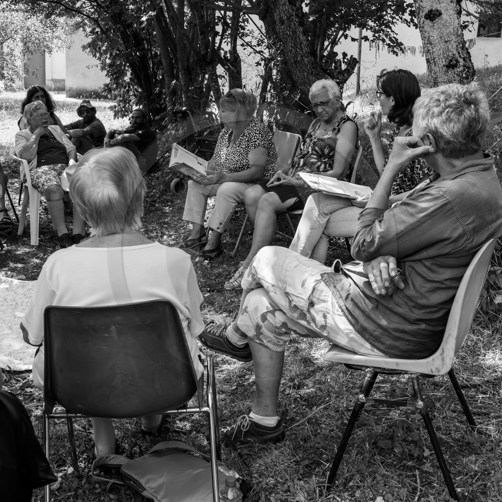 Contes Alice au pays des merveilles