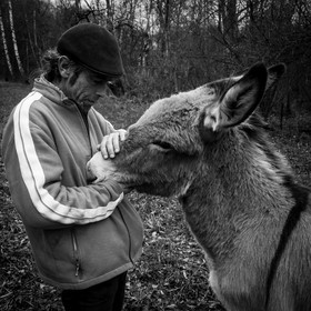 L'asinerie Le sentier des ânes