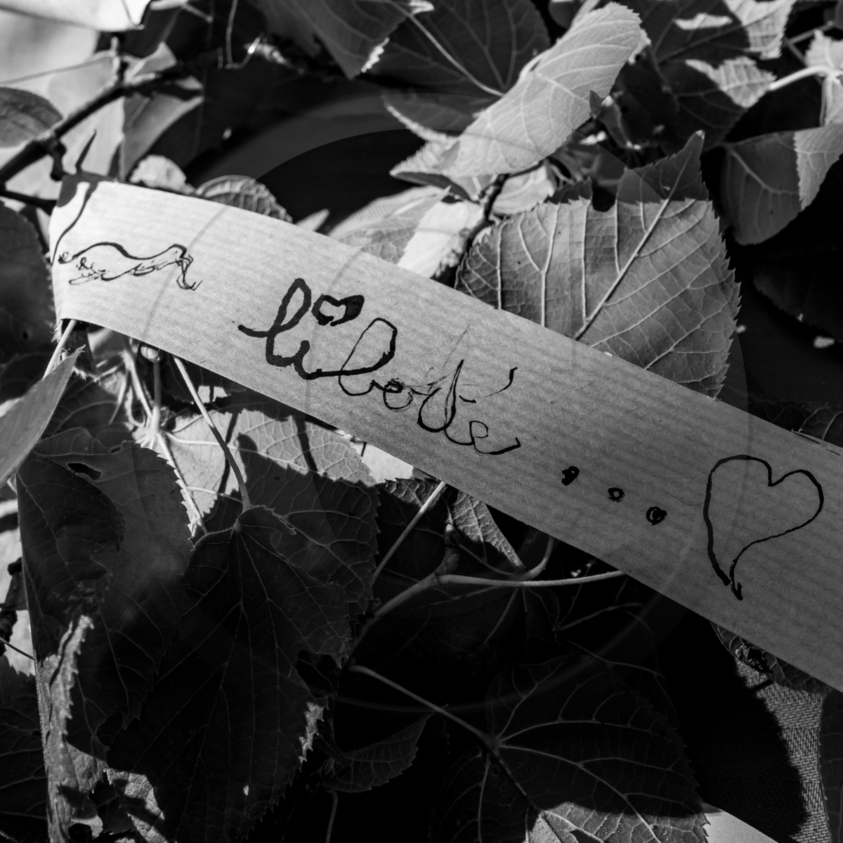 09 septembre 2022 : Journ&ée des aidants et des aidés