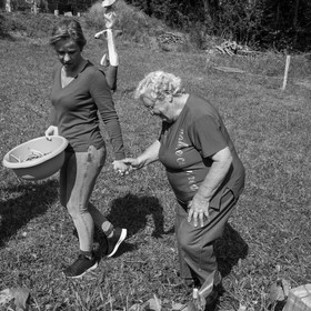 13 septembre 2017 - Chemins - Graines