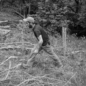 31 mai 2017 - Jardinage