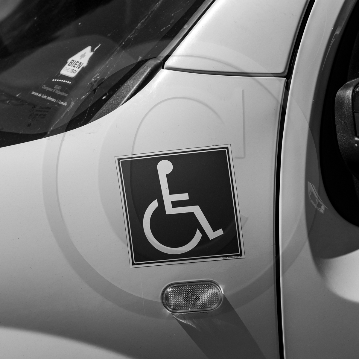 Atelier laine et promenade au jardin