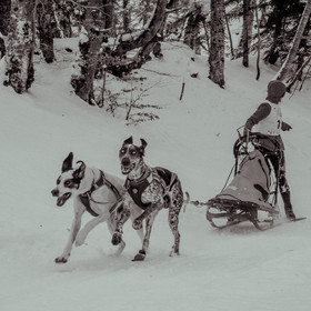 La Valgaude Traineau 2015
