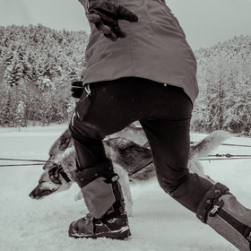 La Valgaude Traineau 2015